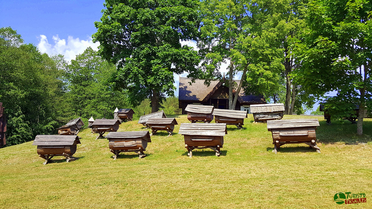 Senovinės Bitininkystės Muziejus Lankytina Vieta Ignalinoje Turizmas Lietuvoje