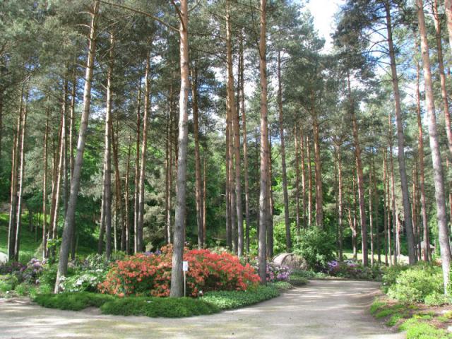 Vilniaus universiteto botanikos sodas