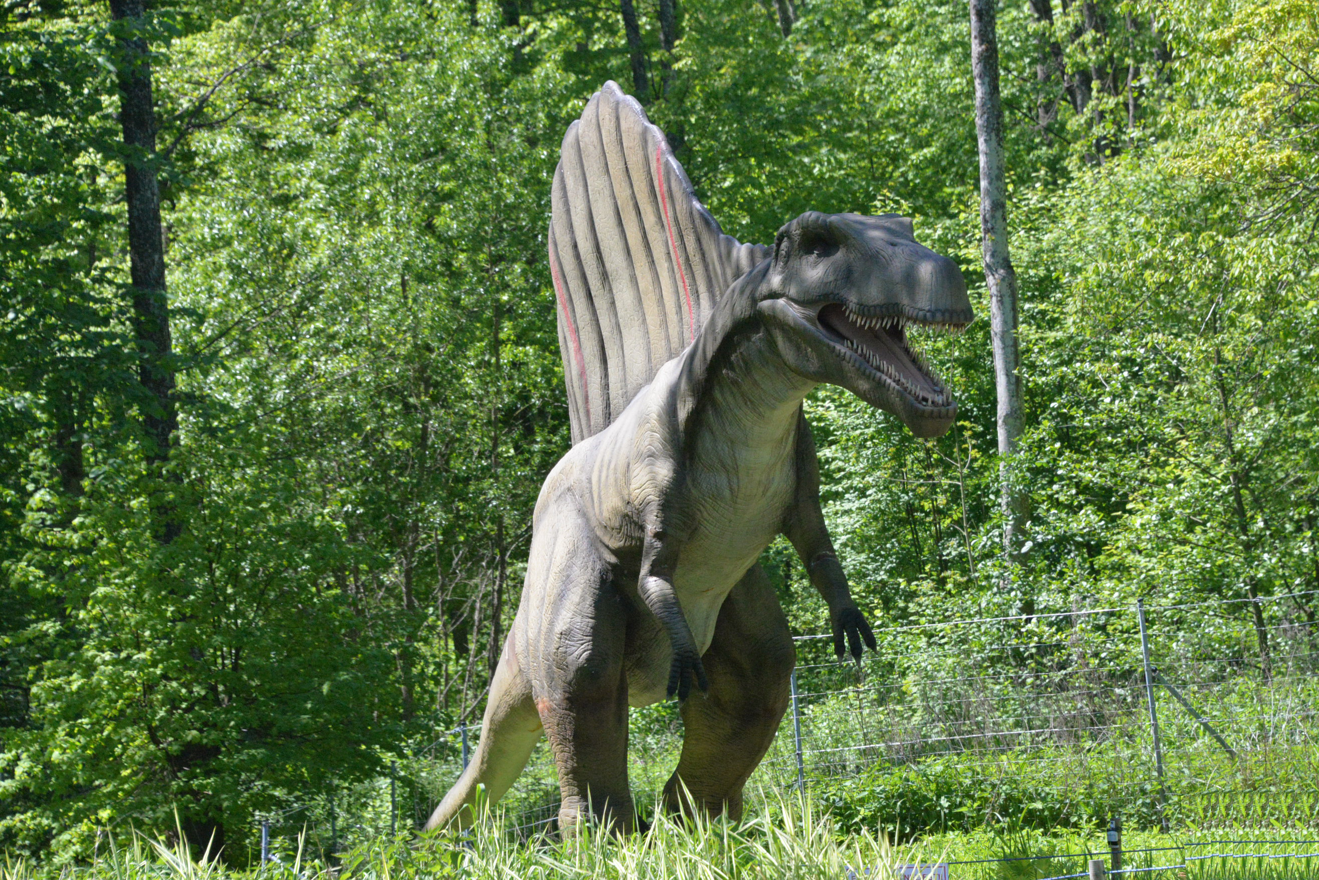 Dinozaurų parkas