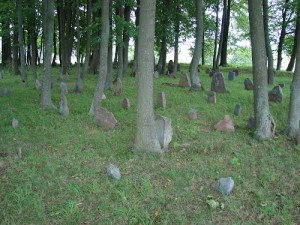 Vinkšnupių totorių kapinės 2