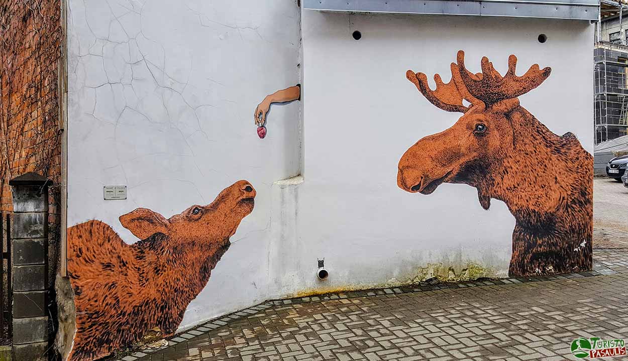 Kaunas graffiti - Briedžiai