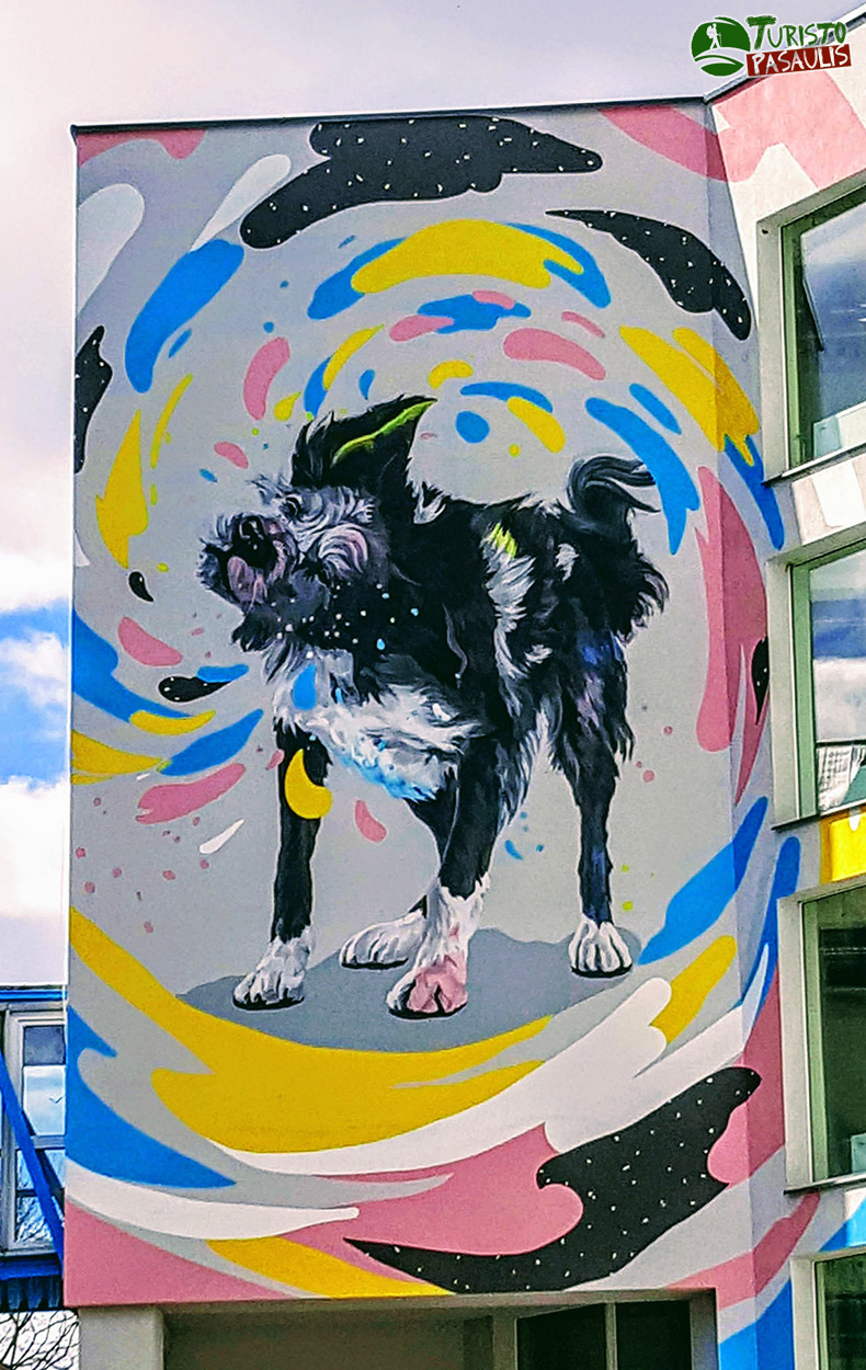 Kaunas graffiti Pozityvus šuo