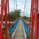bezdžionu tiltas