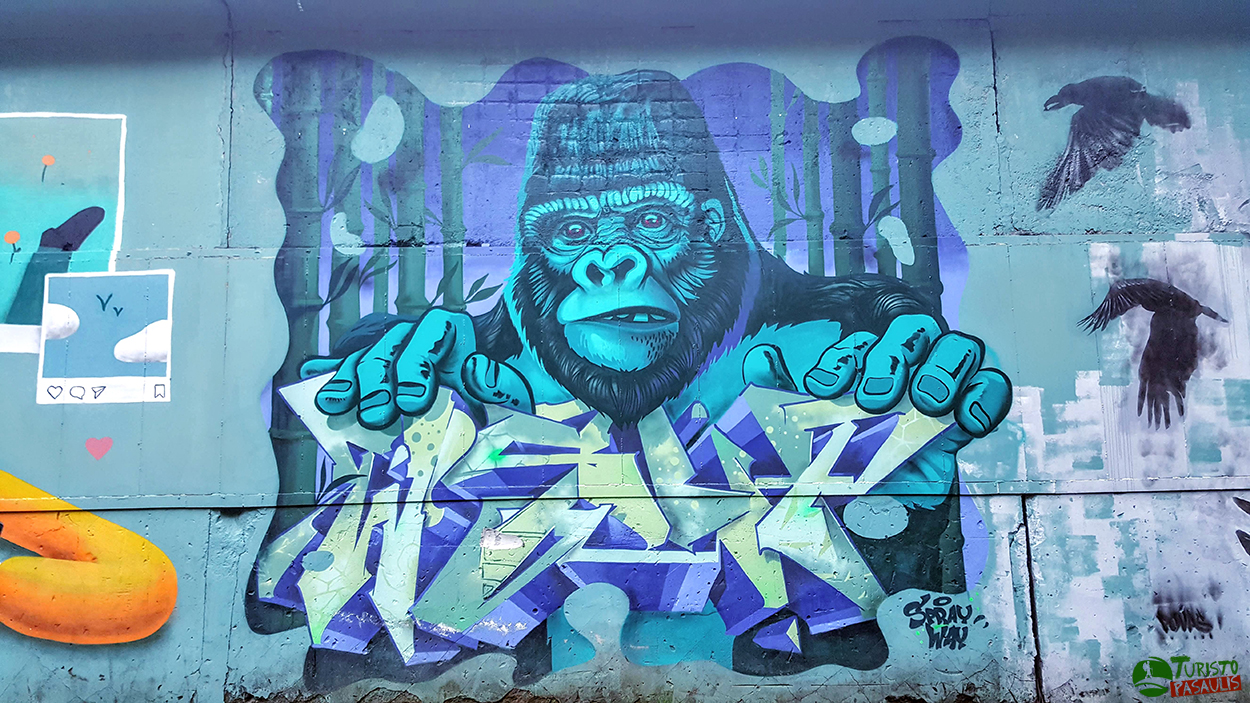 Graffiti siena